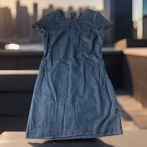 Banana Republic Women’s Chambray Dress Back Zipper Size 4 Petite